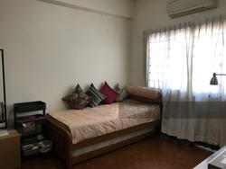 Clover Park (D20), Terrace #144030772